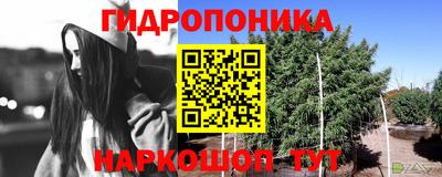 a pvp Аргун
