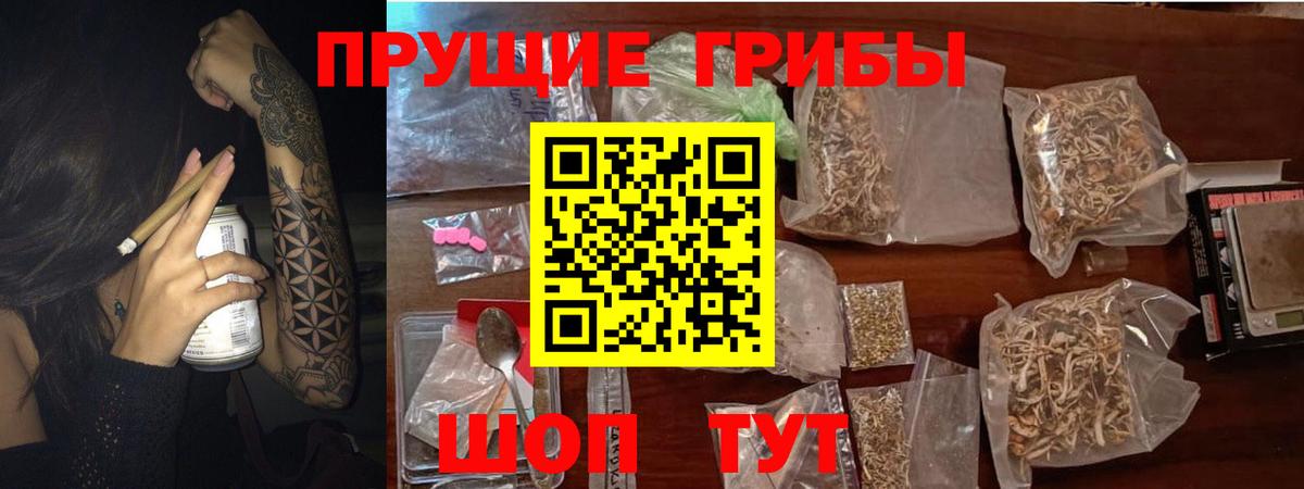 где продают наркотики  Вход с VPN  Архангельск  Псилоцибиновые грибы прущие грибы  Псилоцибиновые грибы Cubensis 